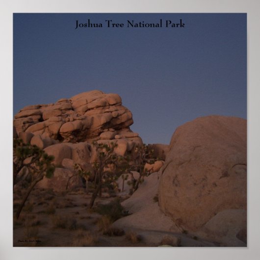 Nationaal Park Joshua Tree Poster (Voorkant)