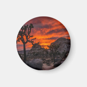Nationaal park Joshua Tree Red Sunset Magneet