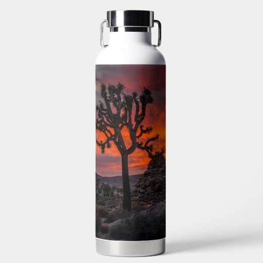 Nationaal park Joshua Tree Red Sunset Waterfles (Voorkant)