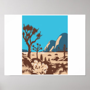 Nationaal park Joshua Tree Riverside California Poster