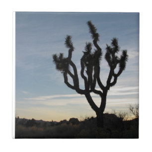Nationaal park Joshua Tree Tegeltje