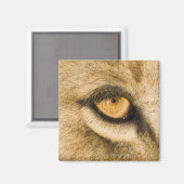 Nationaal park Kruger, provincie Limpopo Magneet (Voorkant / Achterkant)