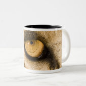 Nationaal park Kruger, provincie Limpopo Tweekleurige Koffiemok (Voorkant rechts)