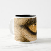 Nationaal park Kruger, provincie Limpopo Tweekleurige Koffiemok (Voorkant links)