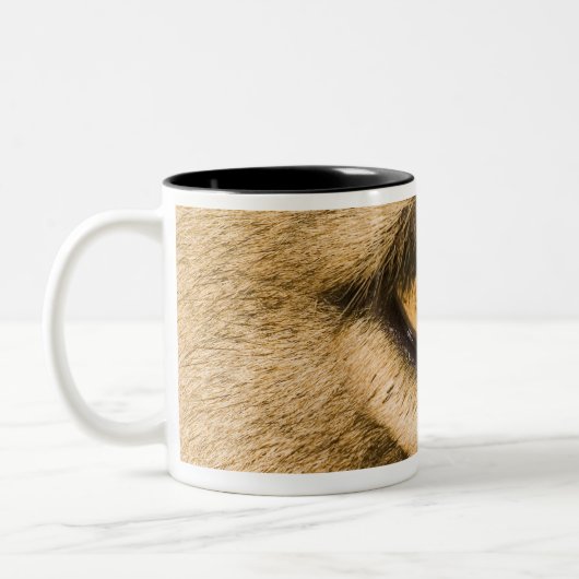 Nationaal park Kruger, provincie Limpopo Tweekleurige Koffiemok (Links)