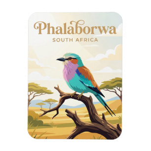 Nationaal park Kruger Zuid-Afrika Magneet