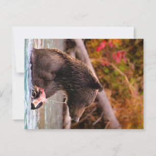 Nationaal park Lake Clark Alaska Briefkaart