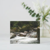 Nationaal park Manu Briefkaart (Staand voorkant)