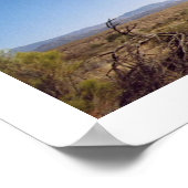 Nationaal Park McDowell Poster (Hoek)