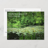Nationaal Park Molalla, Canby, Briefkaart Oregon (Voorkant / Achterkant)