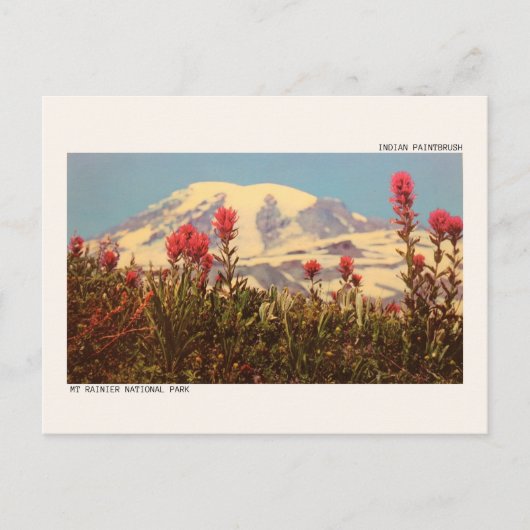 Nationaal park Mount Rainier Briefkaart (Voorkant)