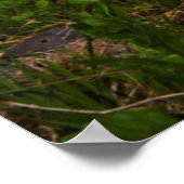 Nationaal park Mount Rainier, Mount Rainier 1 Poster (Hoek)