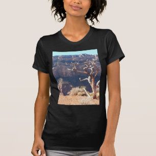 Nationaal Park Mule Ride in Zuid-Kiabab Grand Cany T-shirt