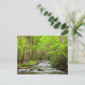 Nationaal Park North Carolina Briefkaart (Staand voorkant)