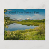Nationaal park Oxbow Bend Bend Grand Teton Briefkaart (Voorkant)