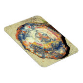 Nationaal park Petrified Forest Magneet (Rechterzijde)