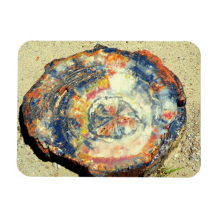 Nationaal park Petrified Forest Magneet