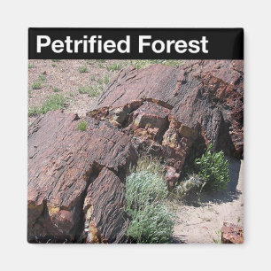 Nationaal park Petrified Forest Magneet