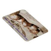 Nationaal park Petrified Forest Magneet (Rechterzijde)