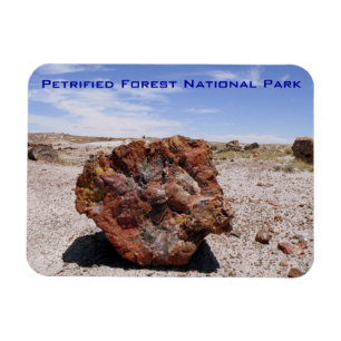 Nationaal park Petrified Forest Magneet