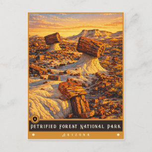 Nationaal park Petrified Forest Oude ansichtkaar Briefkaart