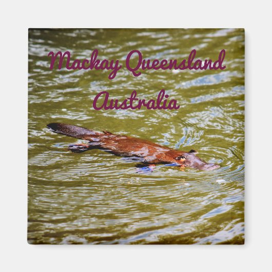 NATIONAAL PARK PLATYPUS EUNGELLA AUSTRALIË MAGNEET (Voorkant)