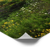 Nationaal Park Poster van het Cadillac-gebergte (Hoek)