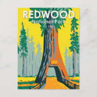 Nationaal park Redwood Chandelier Tree