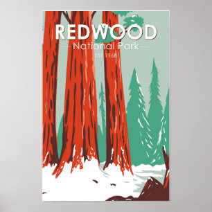 Nationaal park Redwood in Winter Californië Poster