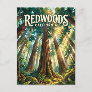 Nationaal park Redwood VS Briefkaart