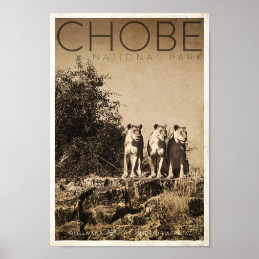  nationaal park reisbureau Chobe Poster (Voorkant)