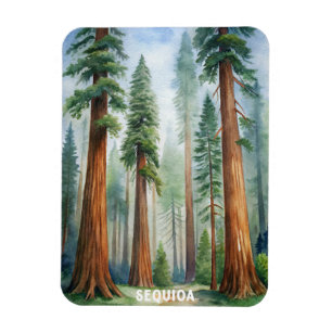 Nationaal park Retro Sequoia Magneet