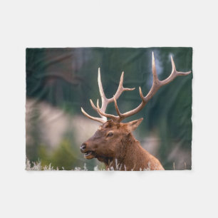 Nationaal Park Rocky Mountain Elk Yellowstone Fleece Deken