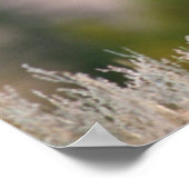 Nationaal Park Rocky Mountain Elk Yellowstone Poster (Hoek)