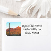 Nationaal park Saguaro Etiket (Insitu)