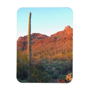 Nationaal park Saguaro Magneet