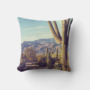 Nationaal park Saguaro, schilderachtig gebied. Kussen