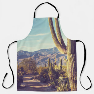 Nationaal park Saguaro, schilderachtig gebied. Schort