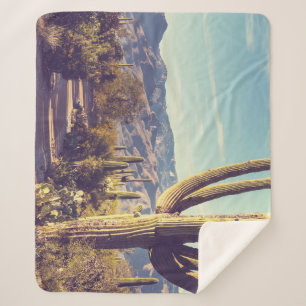 Nationaal park Saguaro, schilderachtig gebied. Sherpa Deken