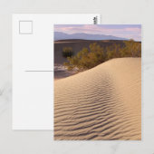 Nationaal Park Sand Dunes Death Valley Briefkaart (Voorkant / Achterkant)