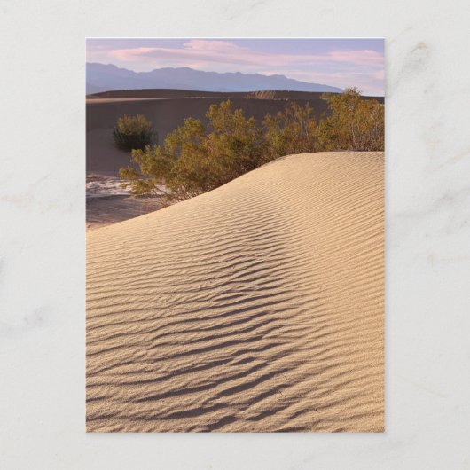 Nationaal Park Sand Dunes Death Valley Briefkaart (Voorkant)