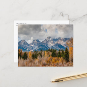 Nationaal park Schwabacher Landing Grand Teton Briefkaart
