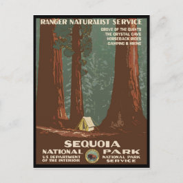 Nationaal park Sequoia Briefkaart