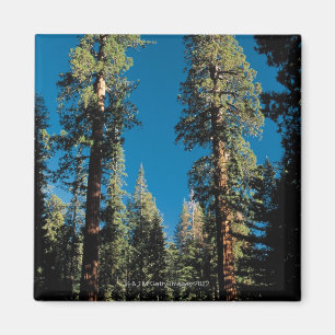 Nationaal Park Sequoia, Californië Magneet