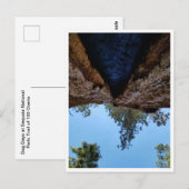 Nationaal park Sequoia: Dog Days Briefkaart (Voorkant / Achterkant)