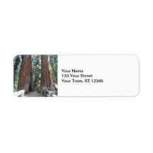 Nationaal park Sequoia