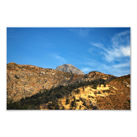 Nationaal park Sequoia Foto Afdruk (Voorkant)