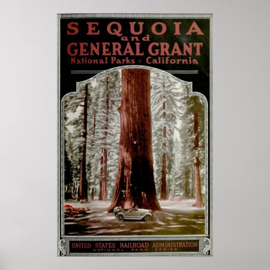  nationaal park Sequoia, indicatief Poster (Voorkant)