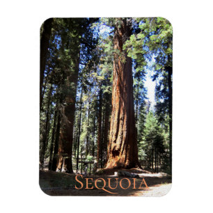 Nationaal park Sequoia Magneet
