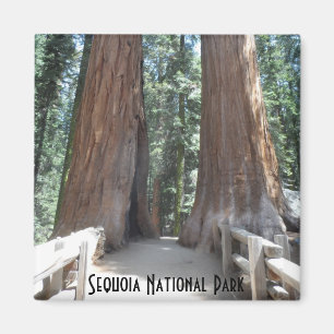 Nationaal park Sequoia Magneet